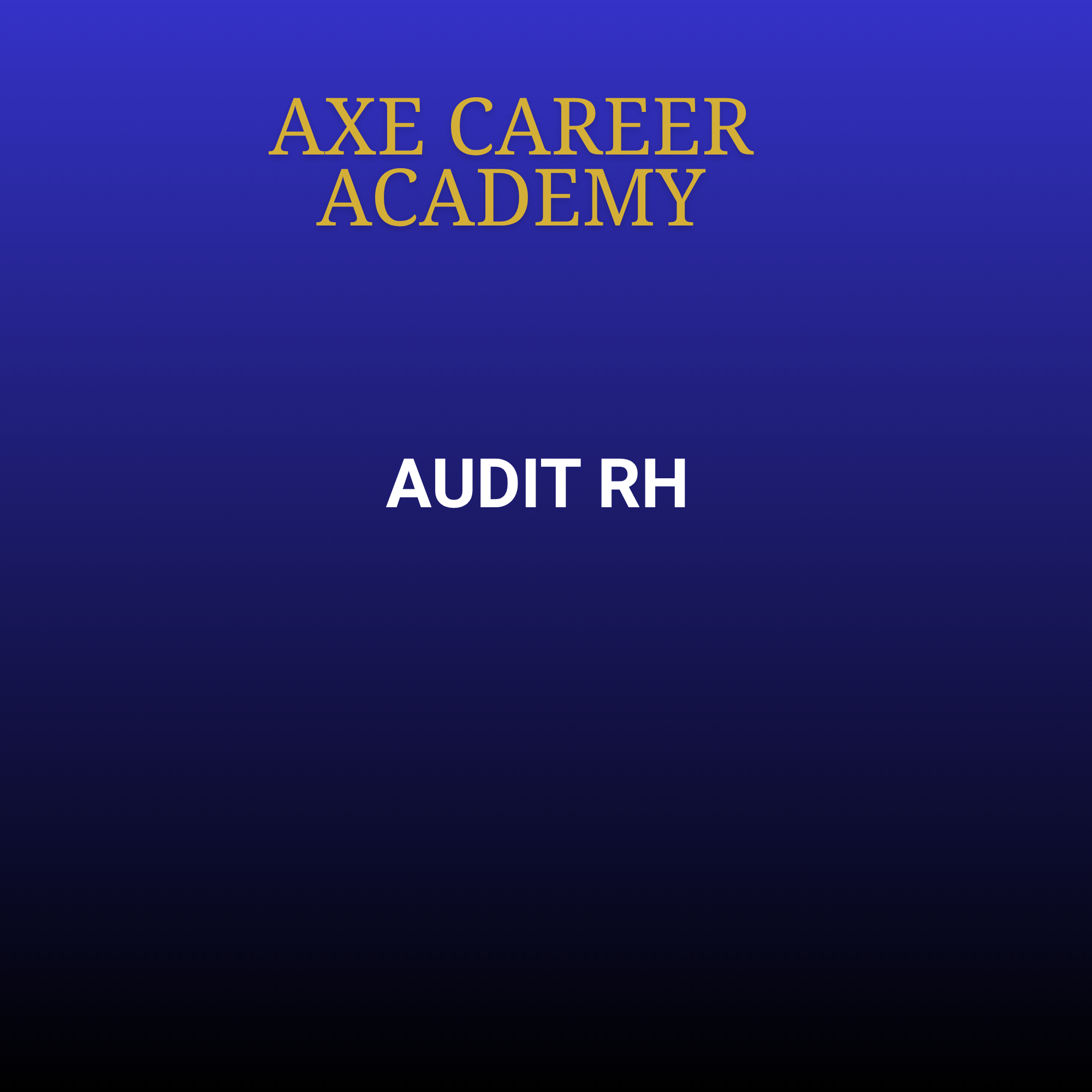 Audit RH de candidature